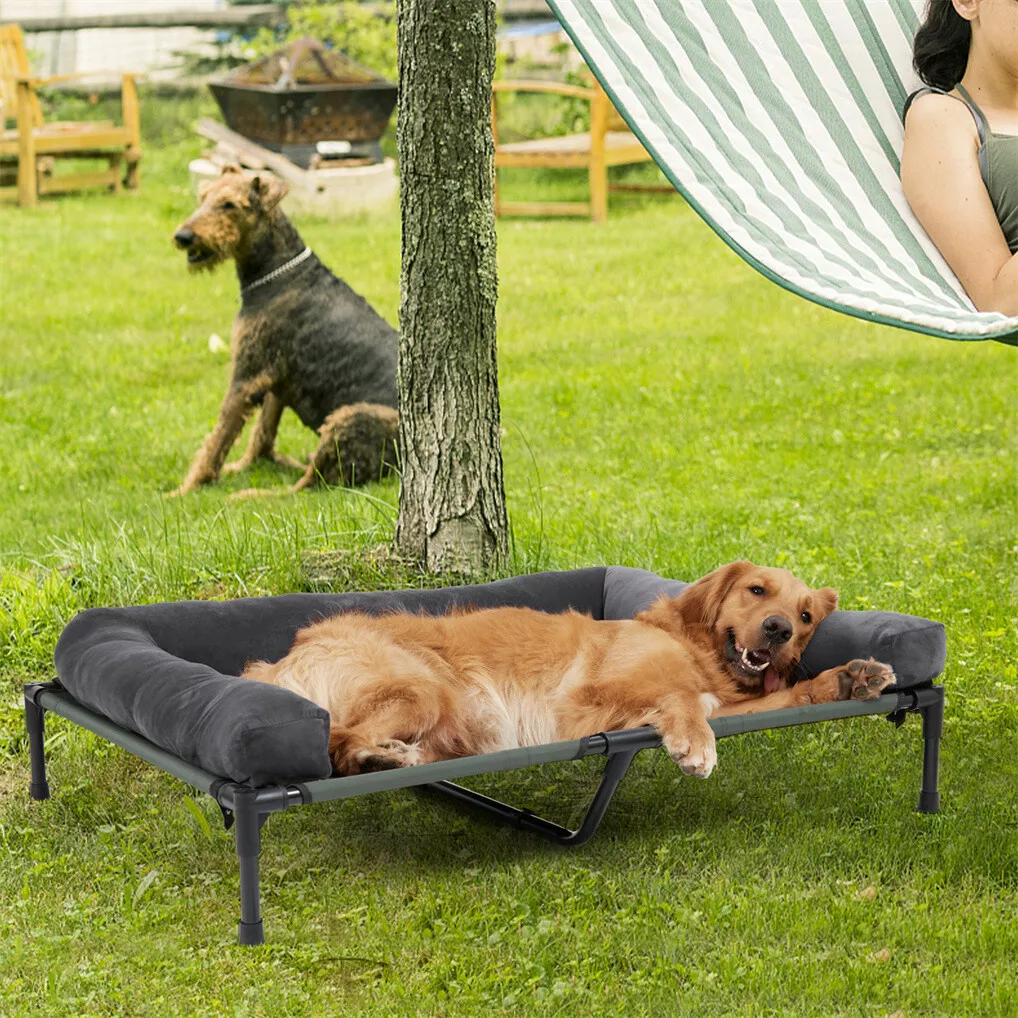 BINGOPAW Outdoor Dog Bed Eleva - Bed Outdoor Camping ulasan dan harga